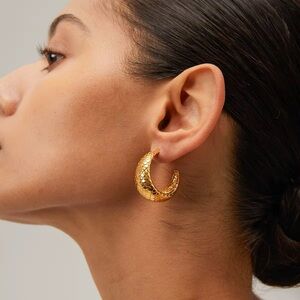Chunky Fish scale Texture Stainless Steel hoop Earrings